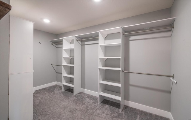 walk in closet featuring carpet flooring