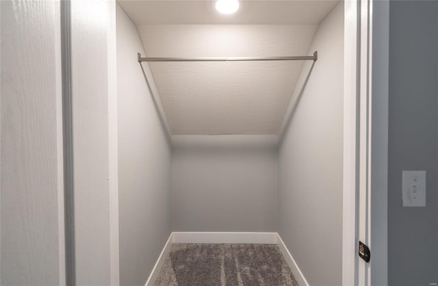 spacious closet with carpet floors