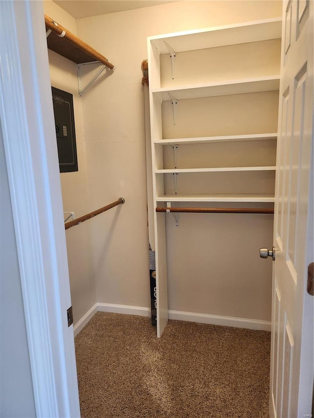 spacious closet with electric panel and carpet floors