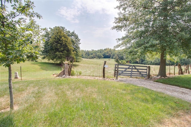 view of yard featuring a rural view