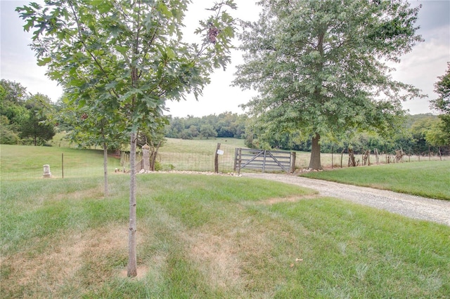 view of yard with a rural view