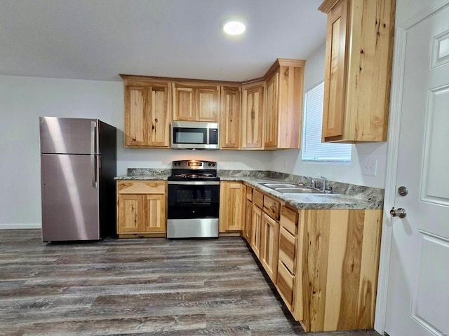 kitchen featuring dark hardwood / wood-style flooring, sink, and appliances with stainless steel finishes