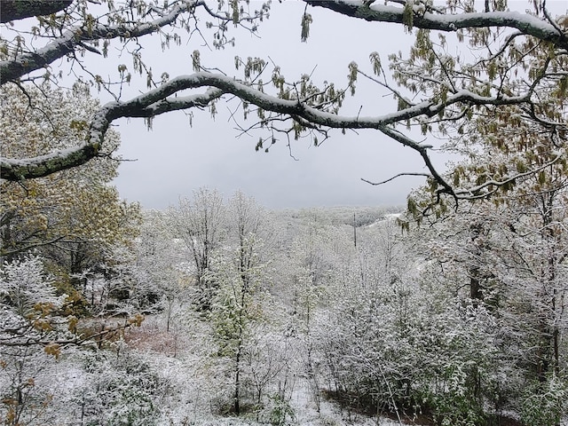 view of local wilderness featuring a forest view