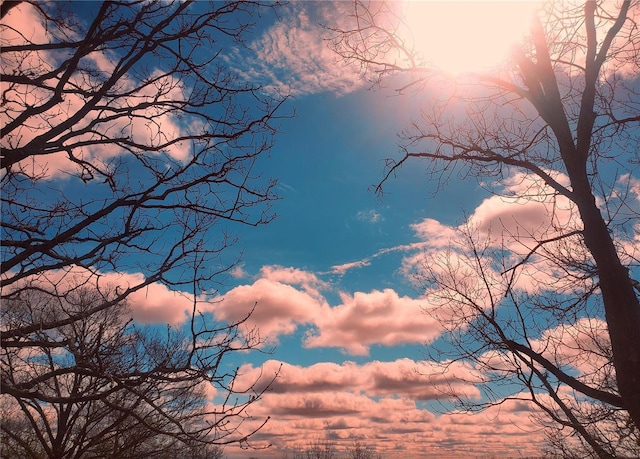 view of nature at dusk