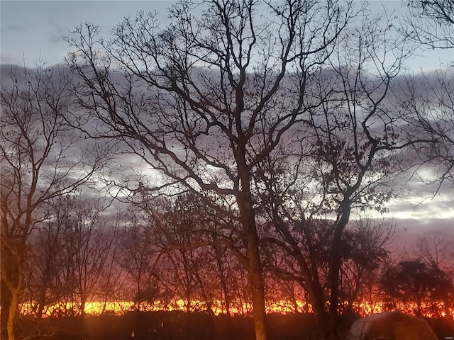 view of local wilderness