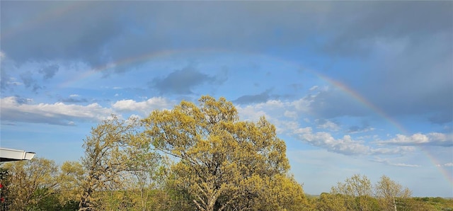 view of local wilderness