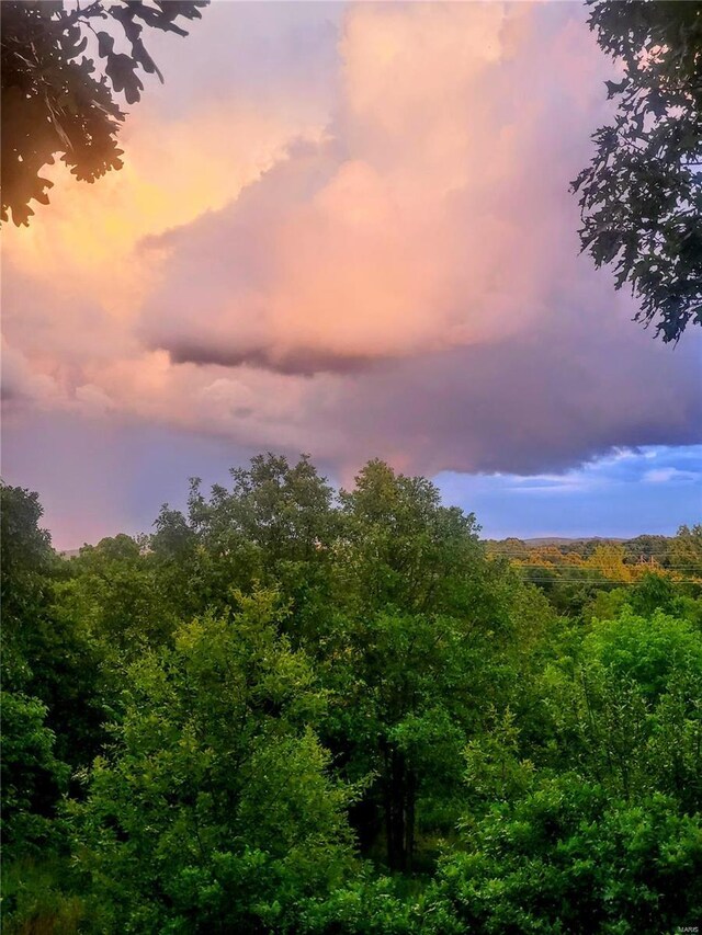 nature at dusk featuring a forest view