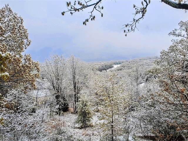 mountain view with a view of trees