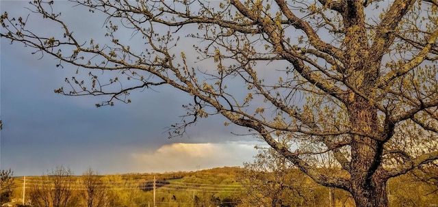 view of nature