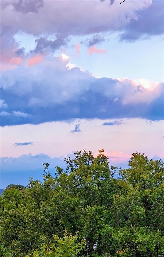 view of nature at dusk