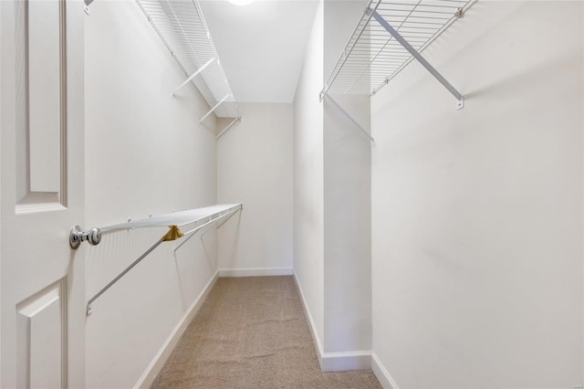 walk in closet featuring light carpet