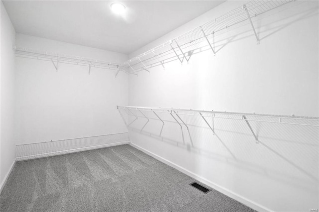 spacious closet with carpet