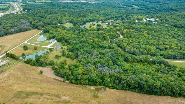 drone / aerial view