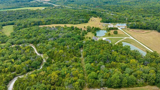 bird's eye view with a water view and a forest view