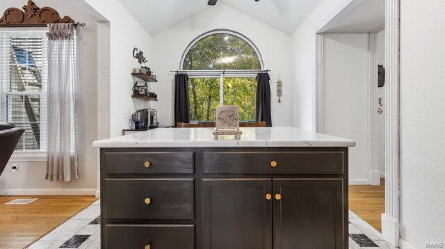 bar featuring dark brown cabinetry, light wood-type flooring, and lofted ceiling