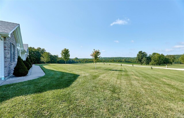 view of yard with a rural view