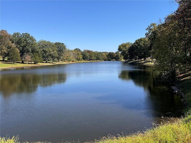 view of water feature