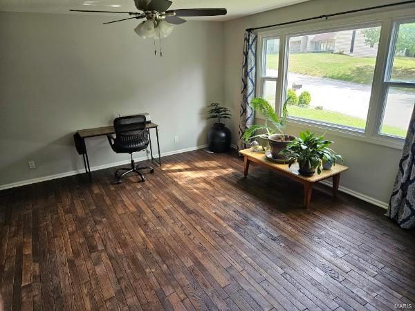 living area with dark hardwood / wood-style flooring, a wealth of natural light, and ceiling fan