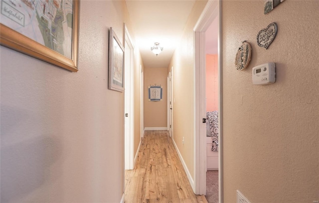 hall featuring light wood-type flooring