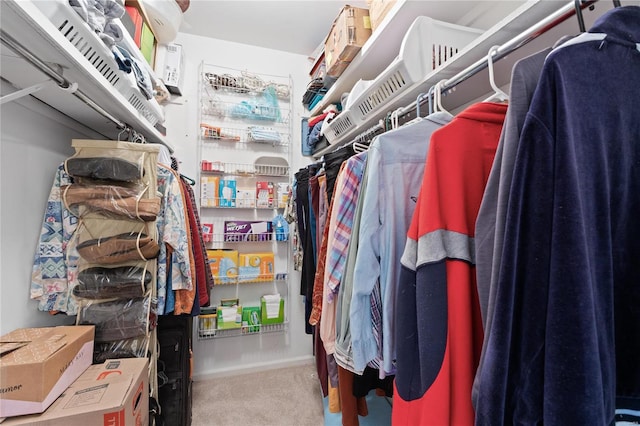 walk in closet with carpet flooring