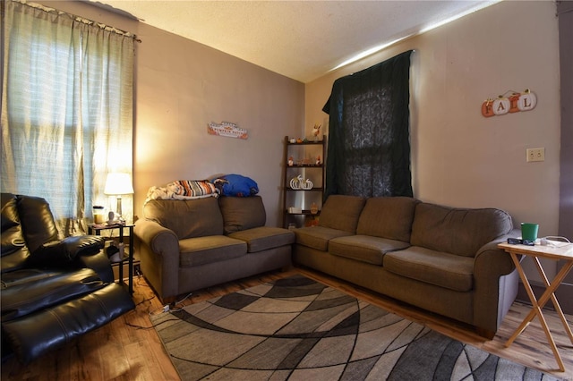 living room featuring wood-type flooring, a textured ceiling, baseboard heating, and lofted ceiling