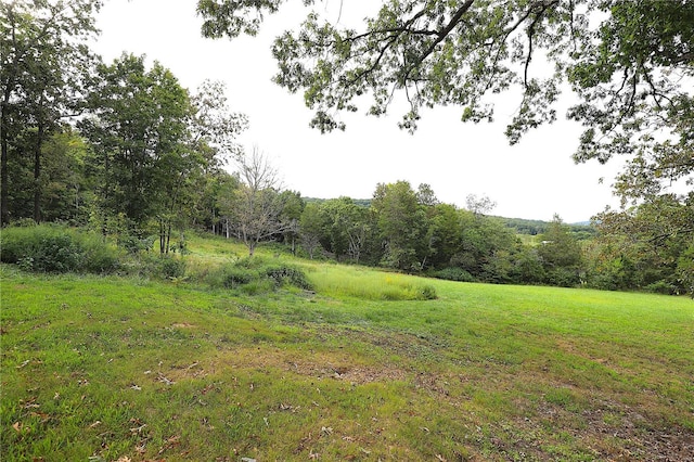 view of local wilderness