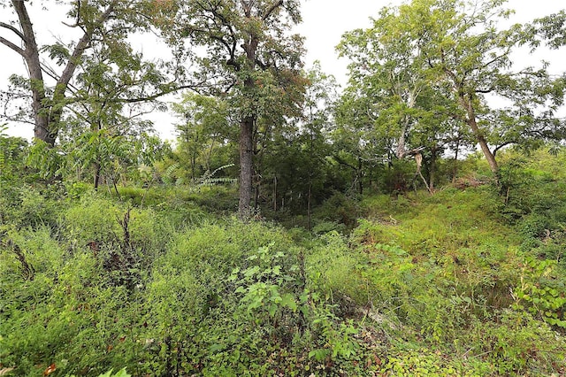 view of landscape