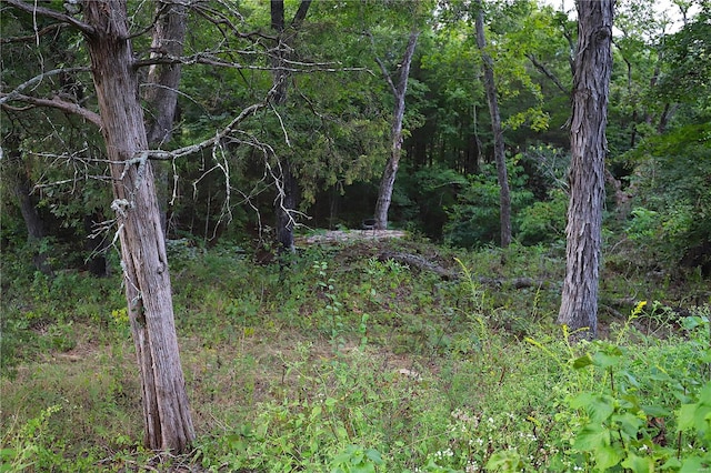 view of landscape