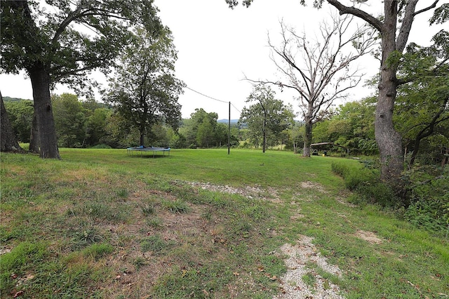 view of yard featuring a trampoline