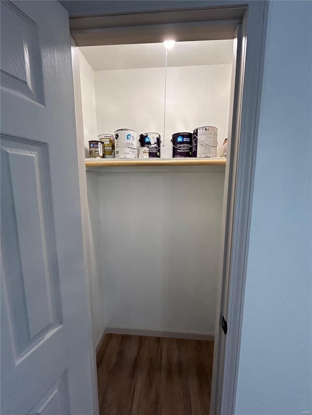 spacious closet featuring dark wood-type flooring