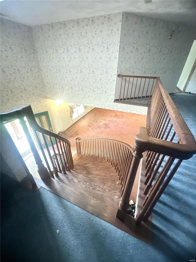 stairway featuring a healthy amount of sunlight and carpet flooring