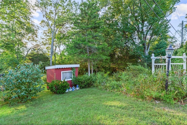 view of yard featuring a storage shed