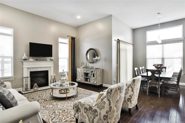 living room featuring dark hardwood / wood-style flooring