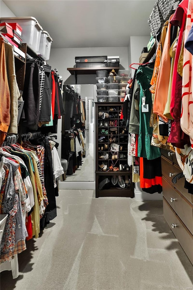 spacious closet featuring carpet