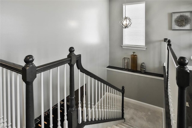 stairs featuring carpet floors