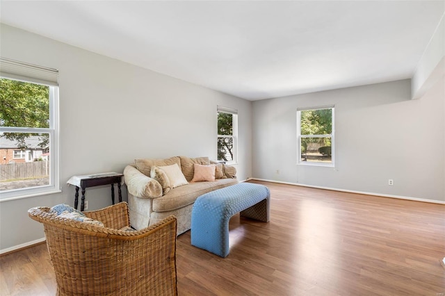 living room with hardwood / wood-style flooring