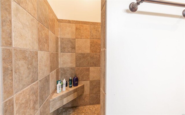 room details with tiled shower