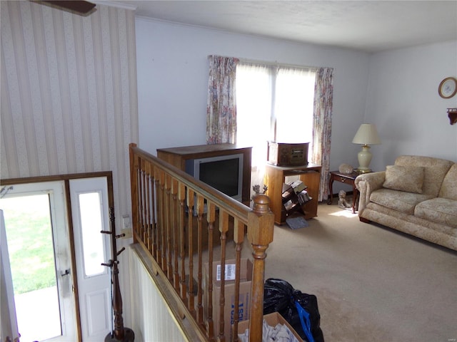 living room with carpet flooring