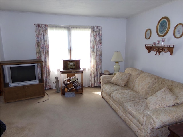 living room with carpet flooring and ornamental molding