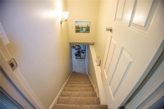 stairs featuring carpet floors