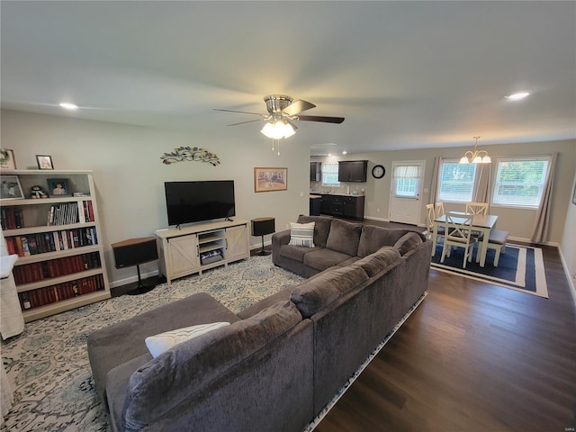 living room with ceiling fan with notable chandelier and dark hardwood / wood-style flooring