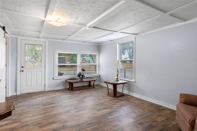 interior space featuring a textured ceiling, a barn door, and dark wood-type flooring