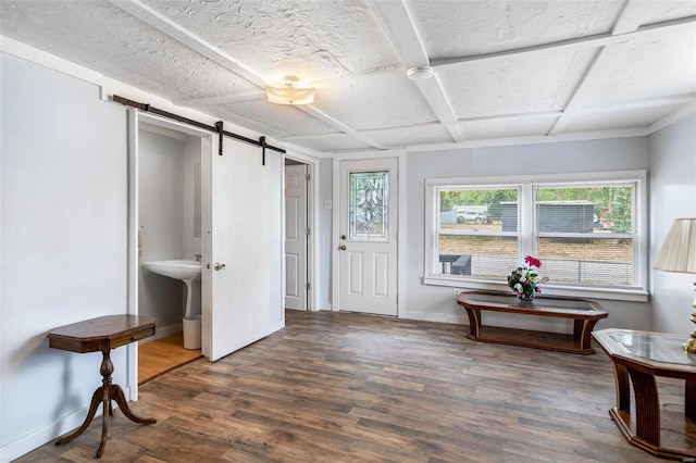 foyer entrance with a barn door, dark wood-type flooring, and plenty of natural light