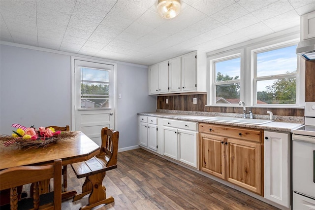 kitchen featuring white electric stove, white cabinets, sink, and dark hardwood / wood-style flooring