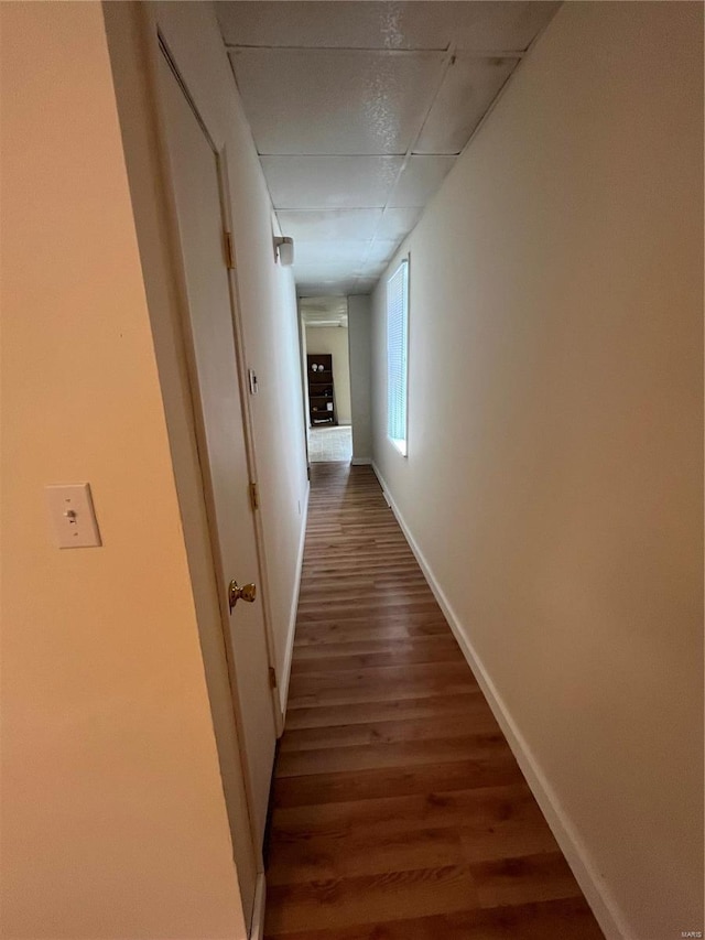 corridor with hardwood / wood-style floors