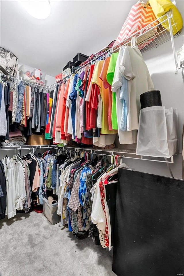 spacious closet featuring carpet floors