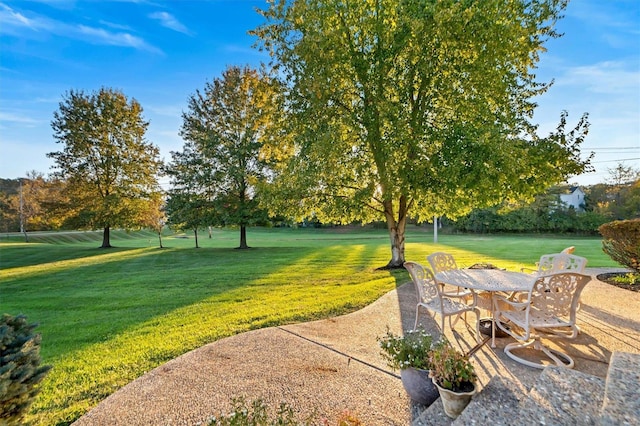 view of yard featuring a patio area