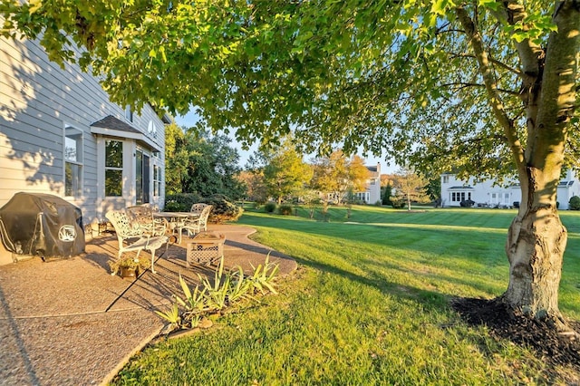 view of yard with a patio