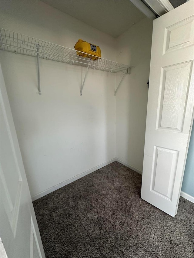 walk in closet featuring dark colored carpet