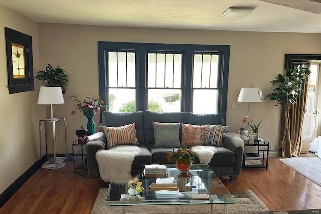 living room with hardwood / wood-style flooring